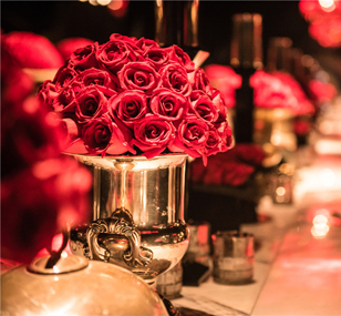 2015 HALO  Glamour • Roses • Party